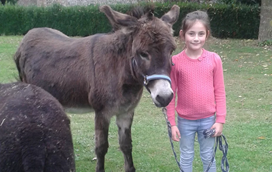 Tierischer Spass - 4