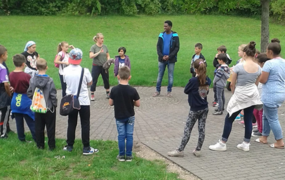 Dschungelcamp - 1
