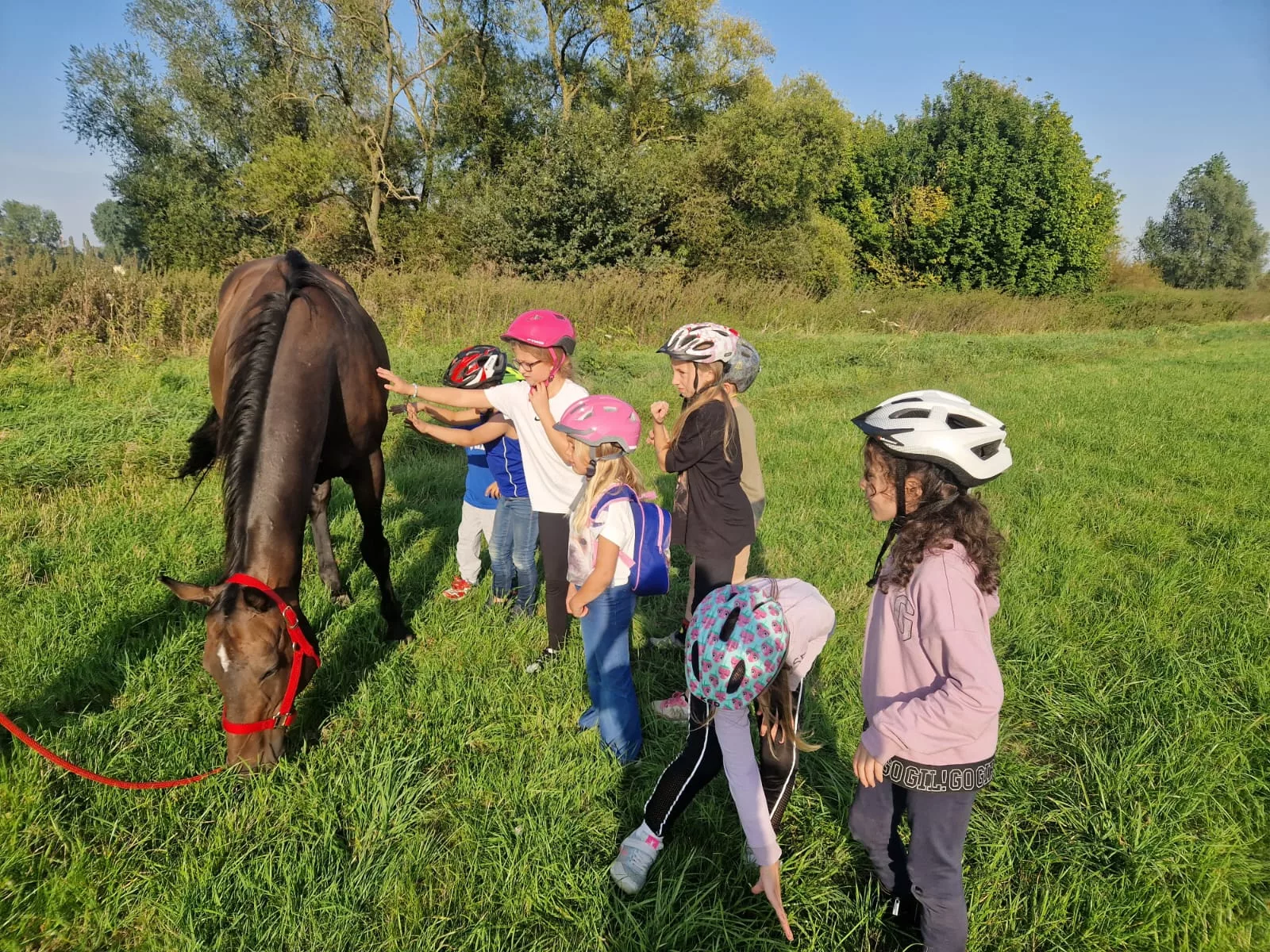 WILDWUCHS Projekttagebuch 2023 - 2024
